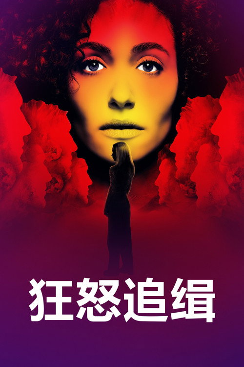 狂怒追缉
